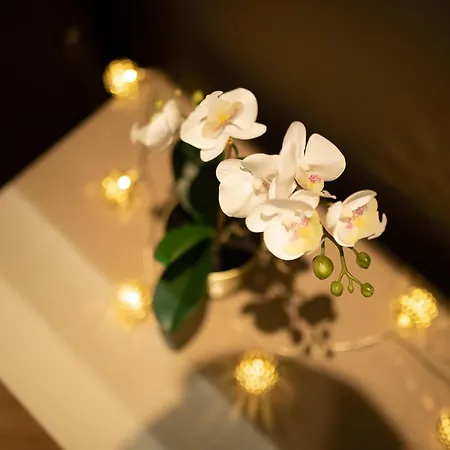 Ns Life Appartamento Novi Sad